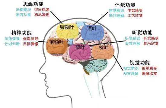 亲亲抱抱举高高，元宇宙里如何亲密接触？