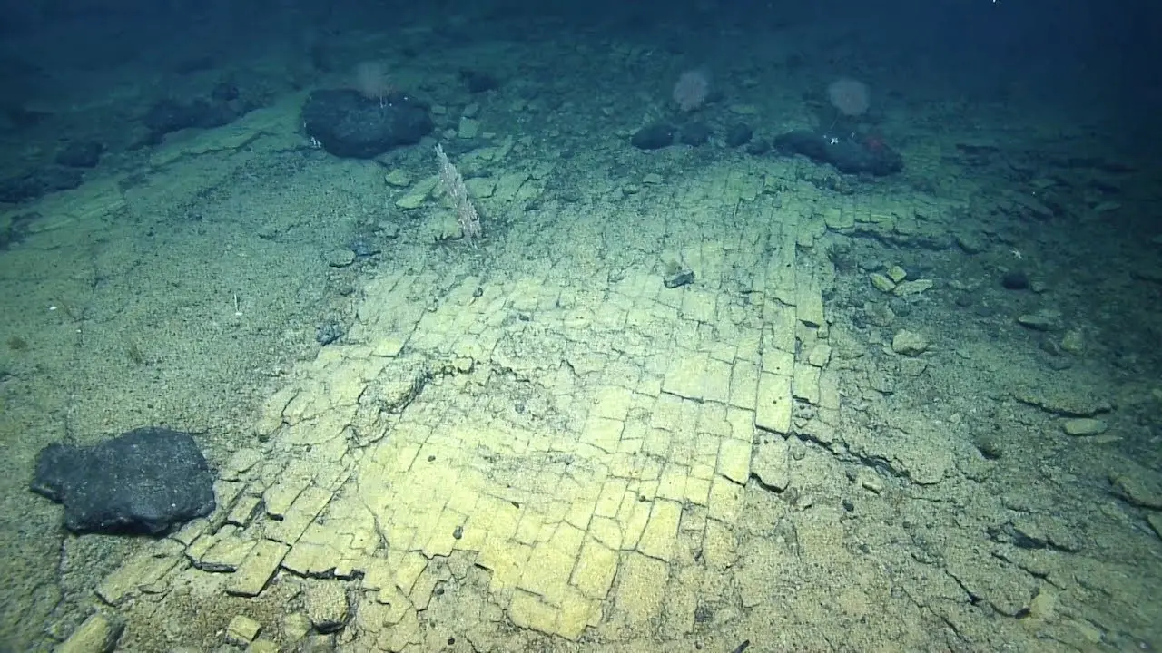 科学家在太平洋海底发现离奇的“黄砖路”-第1张图片-IT新视野