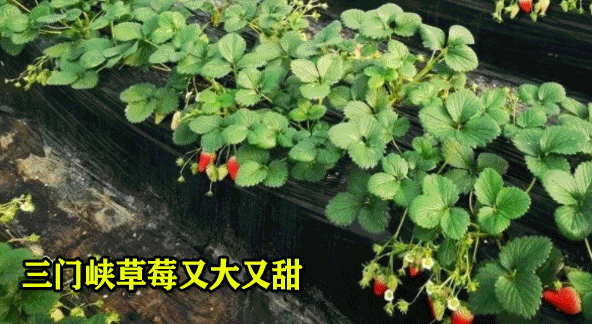 放假通知！连休3天