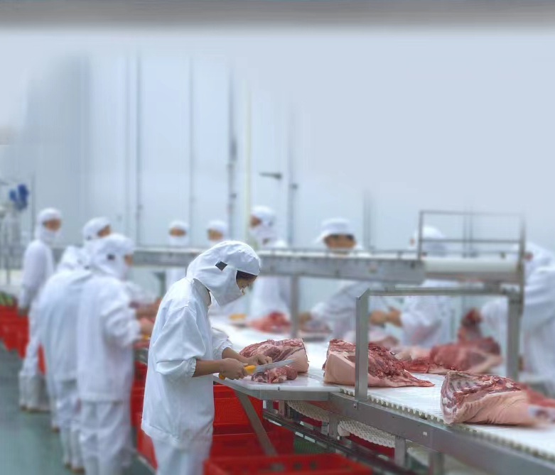 预告！在线直播！