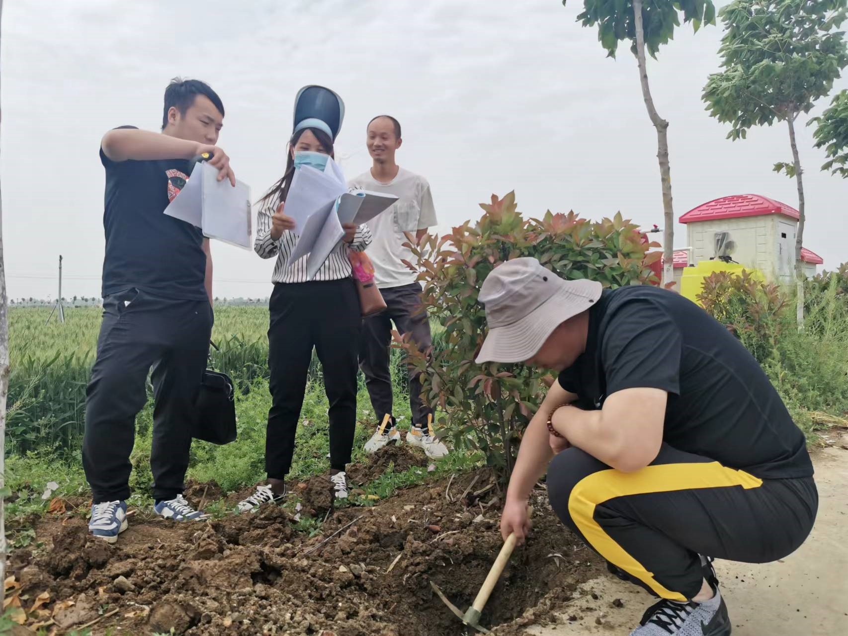 镇平县审计局：聚焦高标准农田 助力粮食高产稳产