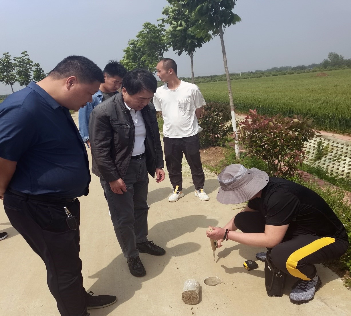镇平县审计局：聚焦高标准农田 助力粮食高产稳产