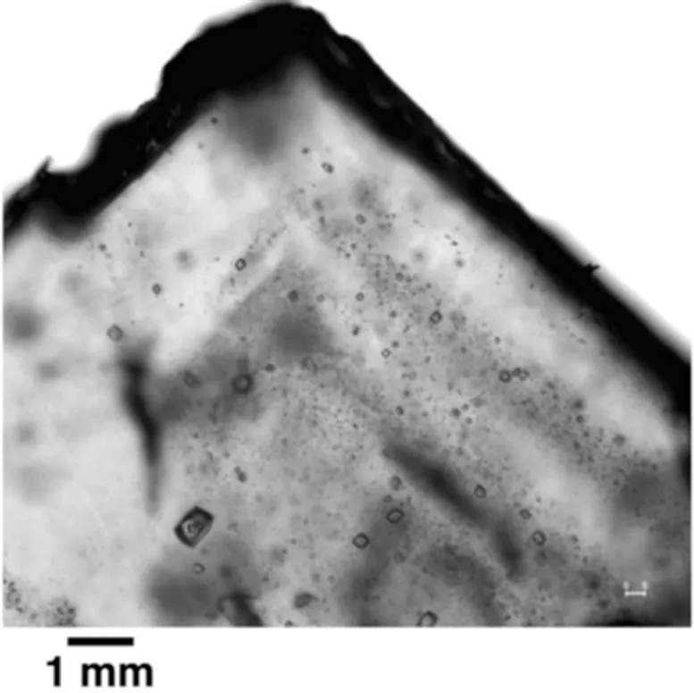 科学家在古代晶体中发现8.3亿年前的微生物 或对寻找地外生命产生影响-第1张图片-IT新视野