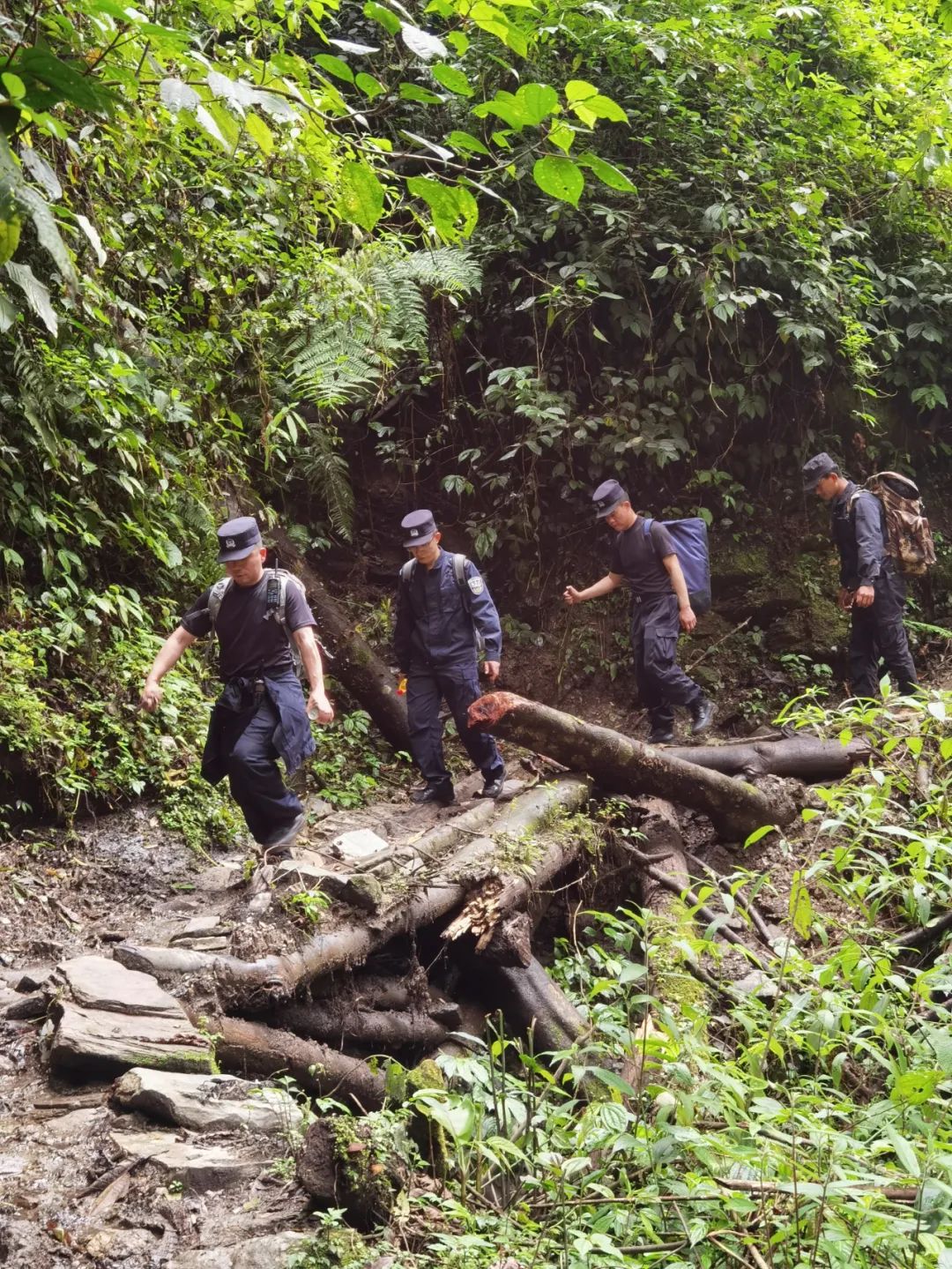 7年爱情长跑4次婚礼推迟，他们跨越6000公里的爱情故事令人动容……