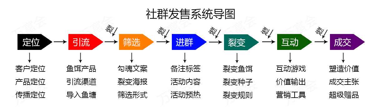 私域运营案例｜社群营销怎么做？5个步骤你就能轻松玩转社群运营