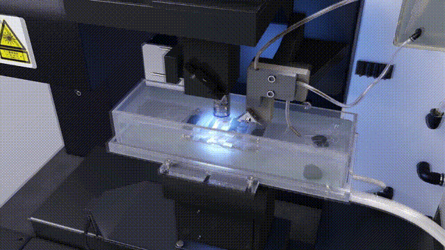 光照亮“想象源泉”：神经元显形利器大揭秘