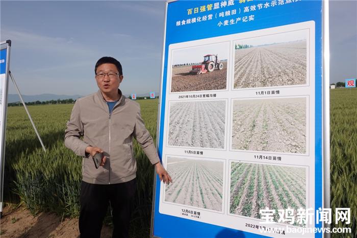 寶雞：農(nóng)業(yè)機(jī)械“枕戈待旦”助力夏收顆粒歸倉、穩(wěn)產(chǎn)增收
