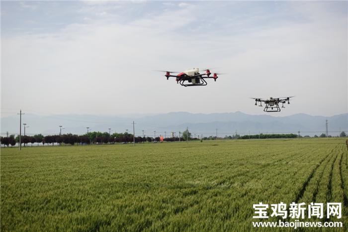 寶雞：農(nóng)業(yè)機(jī)械“枕戈待旦”助力夏收顆粒歸倉、穩(wěn)產(chǎn)增收