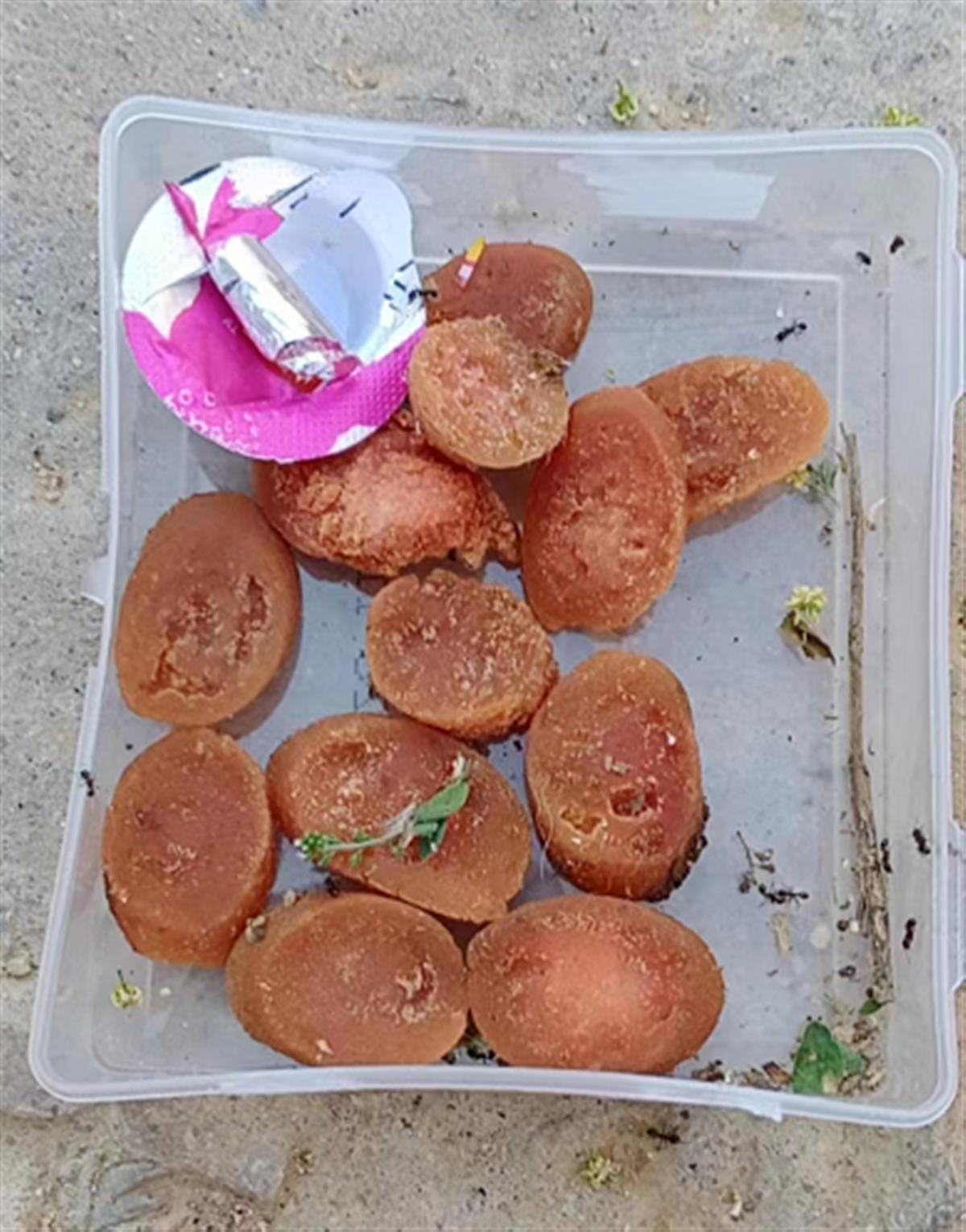 �ӱ�һС��20�������ﹷ�������������������ڵ���