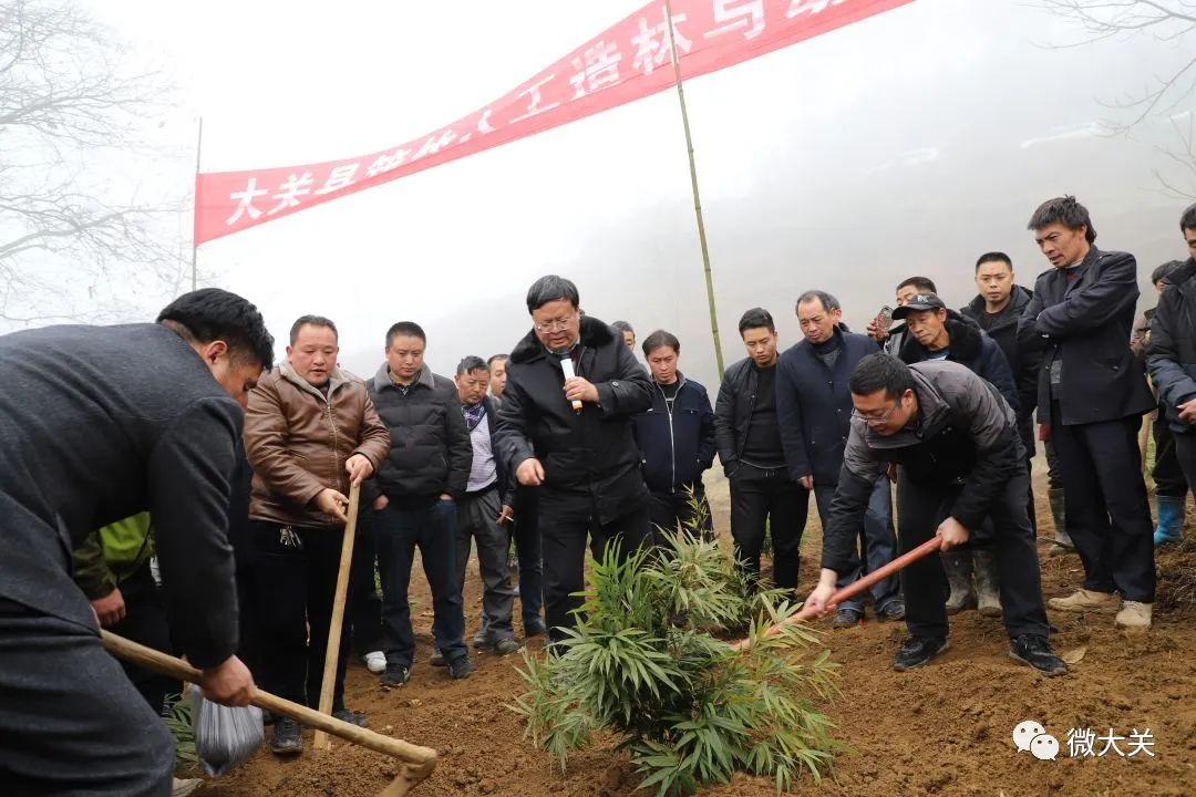 大关：做好竹产业融合发展文章 推动竹文化高质量发展