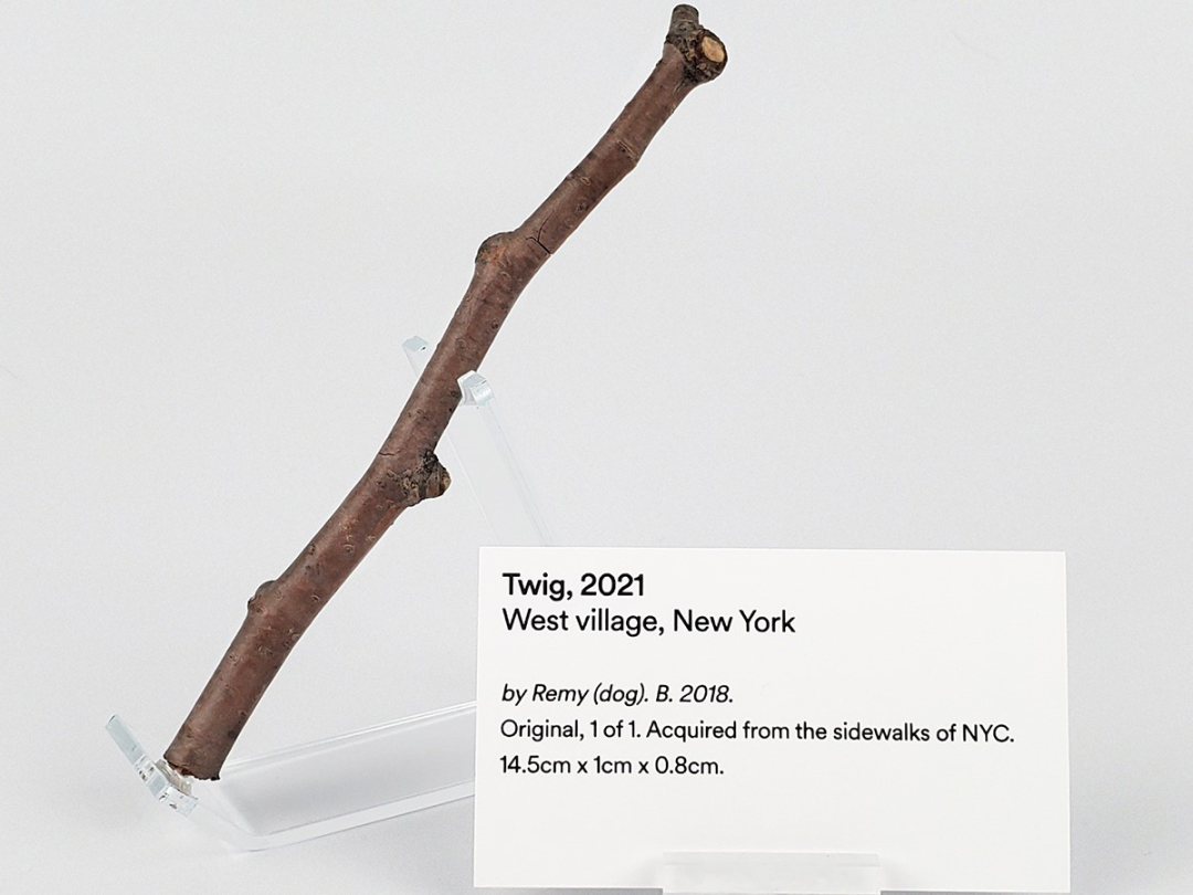 全球韭菜疯买的NFT女友，除了升值还能脱衣