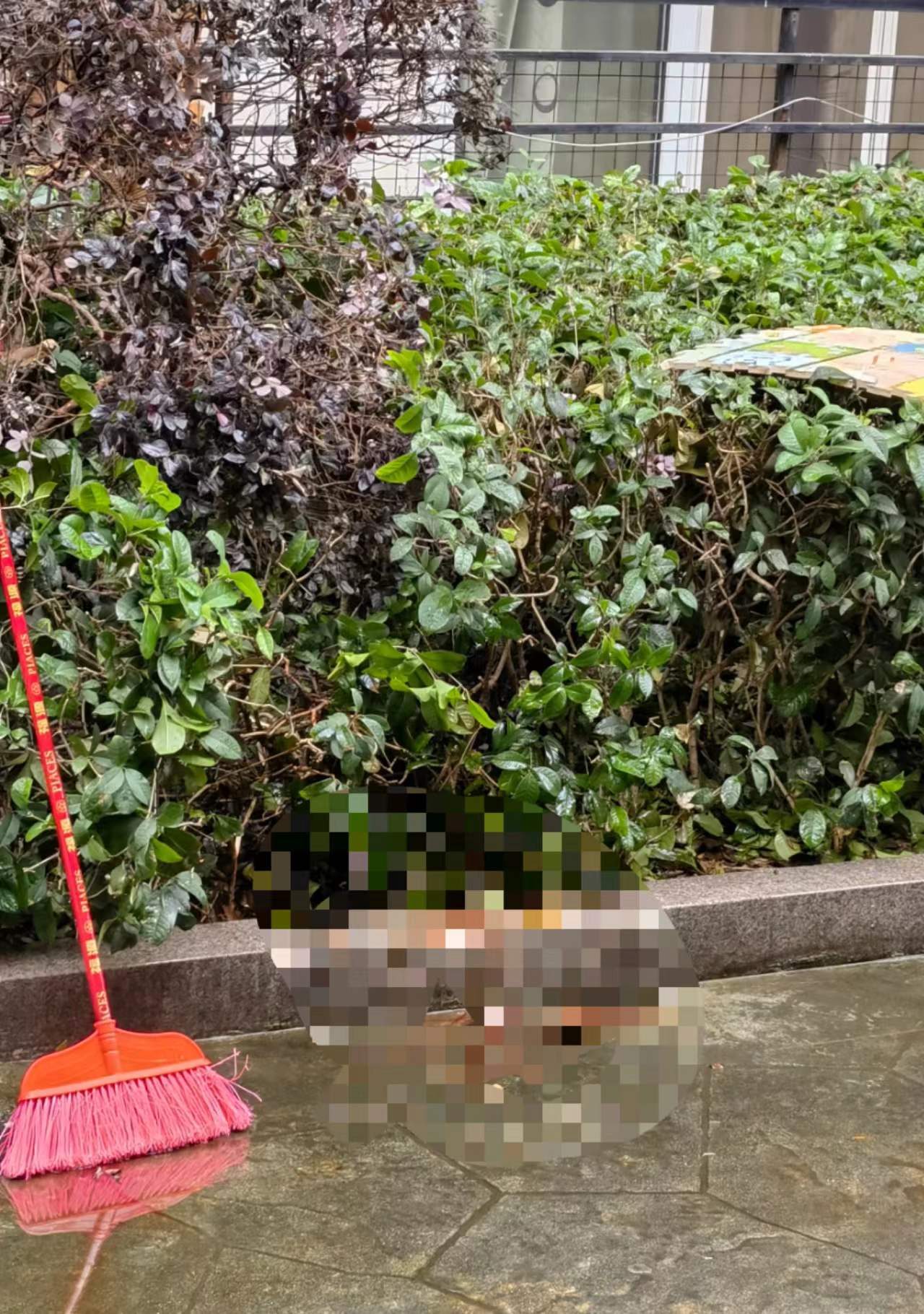 突发！长沙一女子从四楼坠落受伤，邻居：是两口子吵架