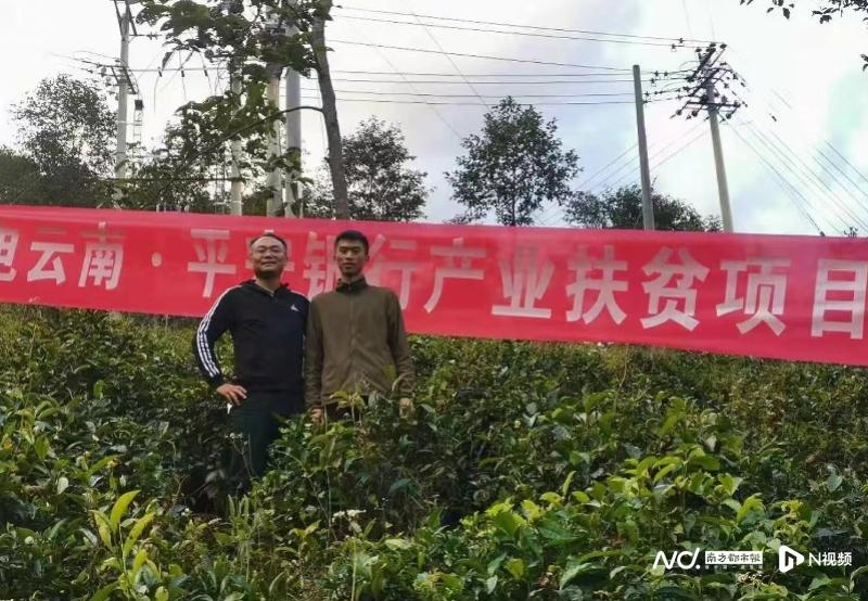 深耕彩云之南：平安银行昆明分行发放3亿乡村振兴绿色贷款