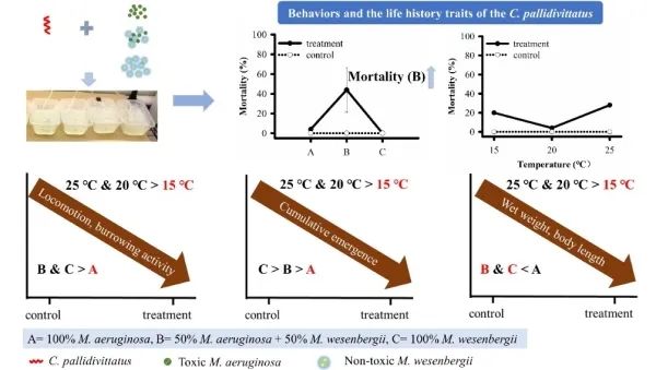 微囊藻毒素对摇蚊幼虫毒性作用及其机制研究取得进展