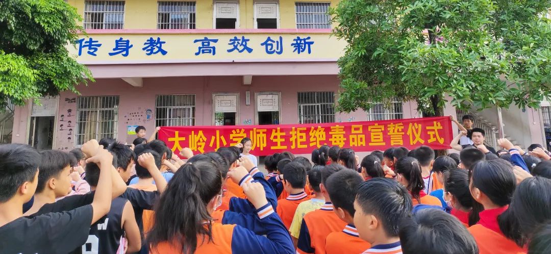 福绵区成均镇大岭小学禁毒宣传活动(图1)