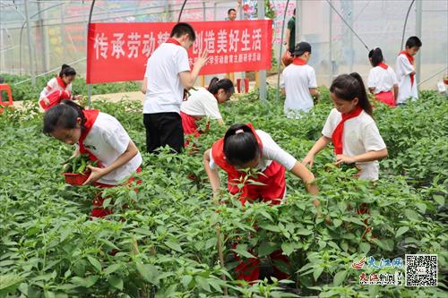 九江市双峰小学开展研学劳动实践活动(图7)