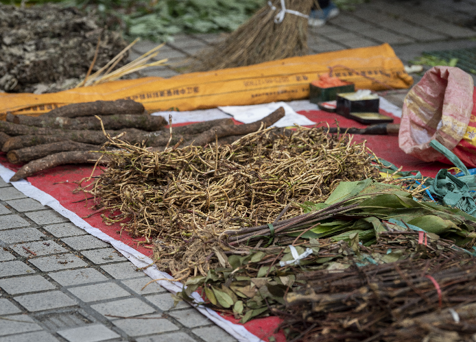 端午节十里不同俗丨走进湖南炎陵“百草园”