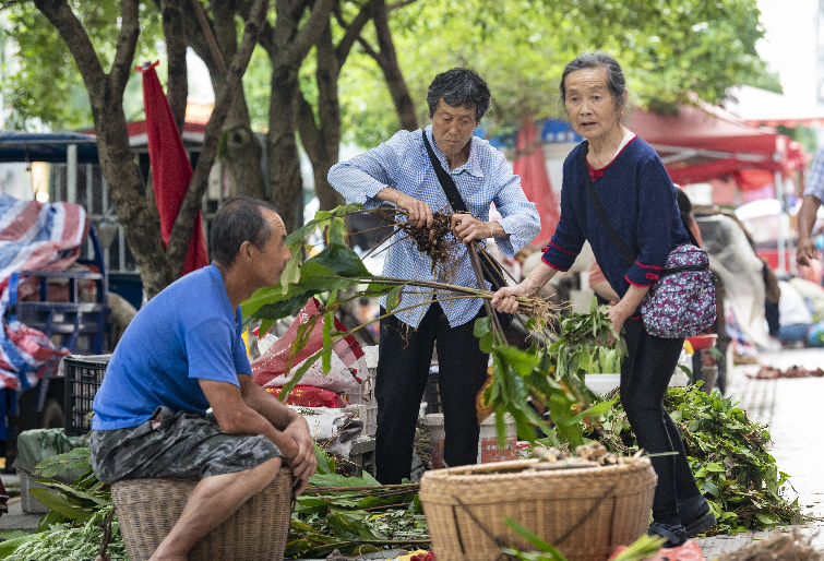 端午节十里不同俗丨走进湖南炎陵“百草园”