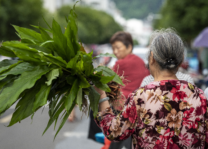 端午节十里不同俗丨走进湖南炎陵“百草园”