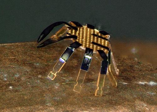 新型机器人比跳蚤还小！组装技术获多篇顶刊封面