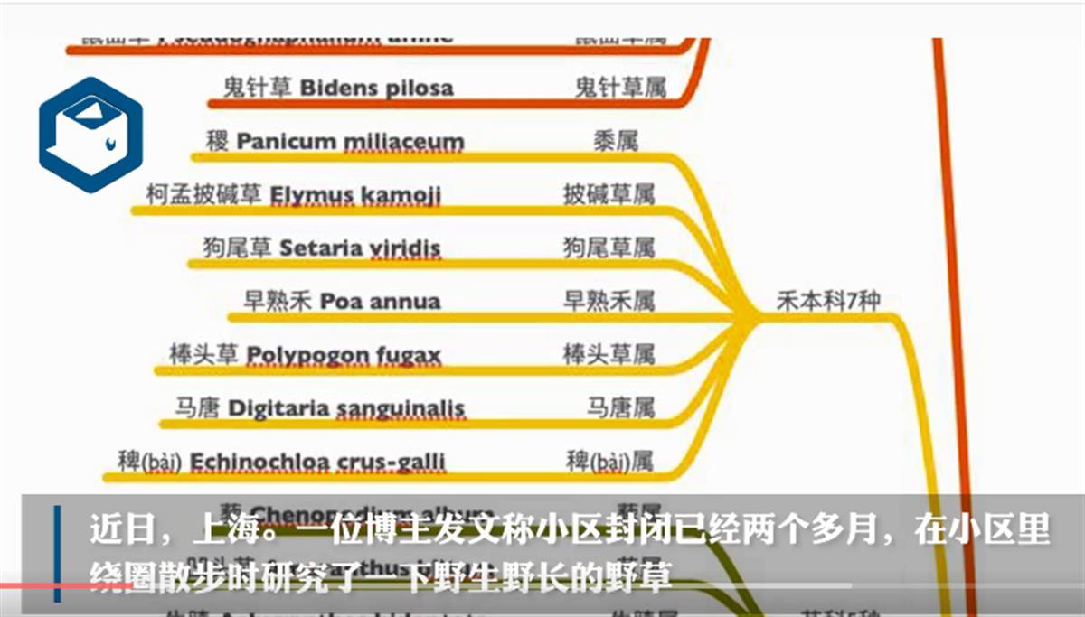 极目锐评|男子在小区发现86种野草,那我们就来关注一下野草