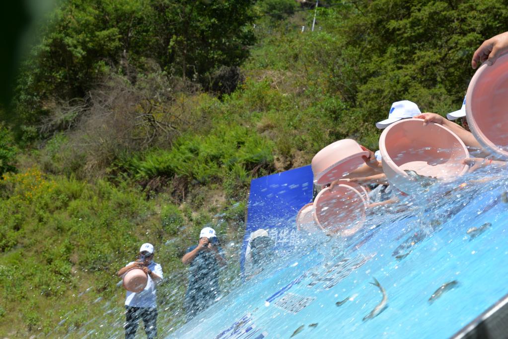10.3万尾珍稀特有鱼苗放流澜沧江