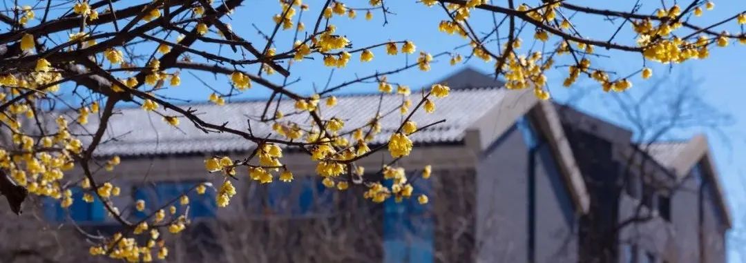 李晓+余淼杰+陈为：世界经济的新环境与中国经济的新挑战