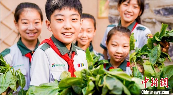 石家庄小学生种上“校园责任田”助力国际生态学校创建