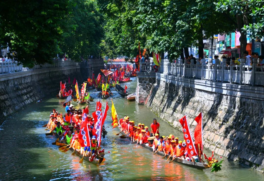 冠軍“收割機(jī)”！九江龍，再奪國(guó)際大賽金牌