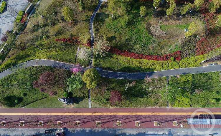 重慶將變成怎樣的“海綿城市”？明確了