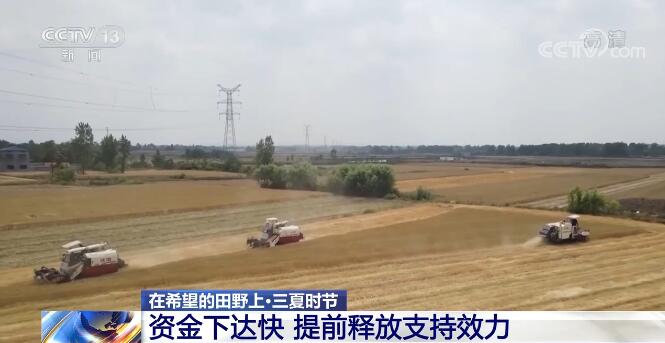 在希望的田野上·三夏時節(jié) | 財政支農(nóng)政策保障夏糧豐產(chǎn)豐收