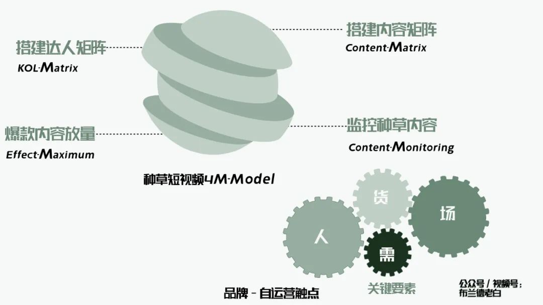 万字梳理品牌抖音电商增长攻略