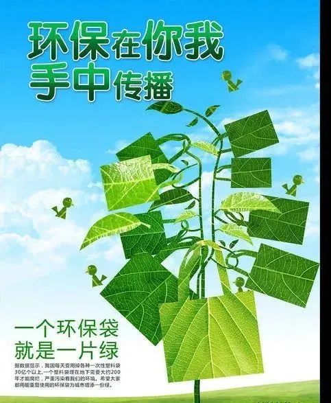 【共建清洁美丽世界】生态环境保护小知识