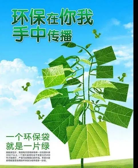 【共建清洁美丽世界】生态环境保护小知识