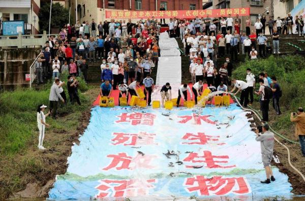 泸州龙马潭：集中销毁600余根鱼竿 增殖放流近30万尾鱼苗