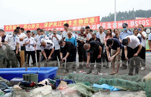 泸州龙马潭：集中销毁600余根鱼竿 增殖放流近30万尾鱼苗