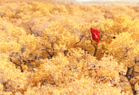 这可能是《梦华录》最大的bug了
