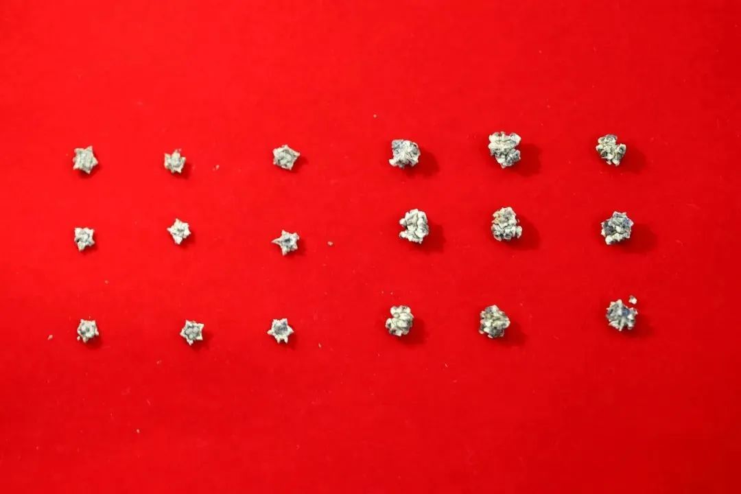 “神舟”出征！这些高校，助力建“宫”大业