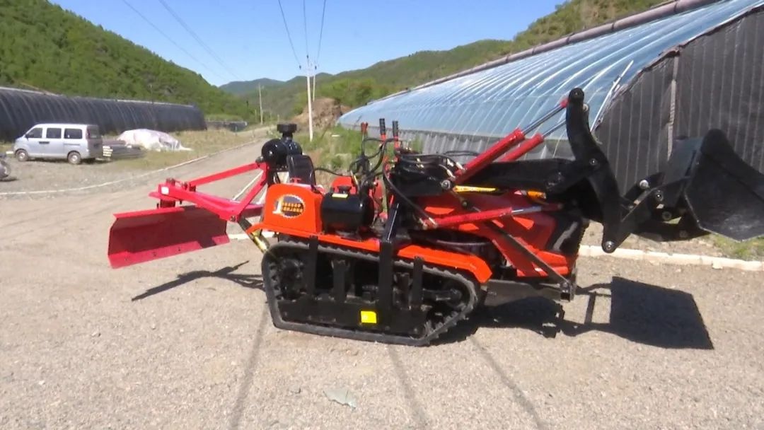 李雪露(李雪露董舒)