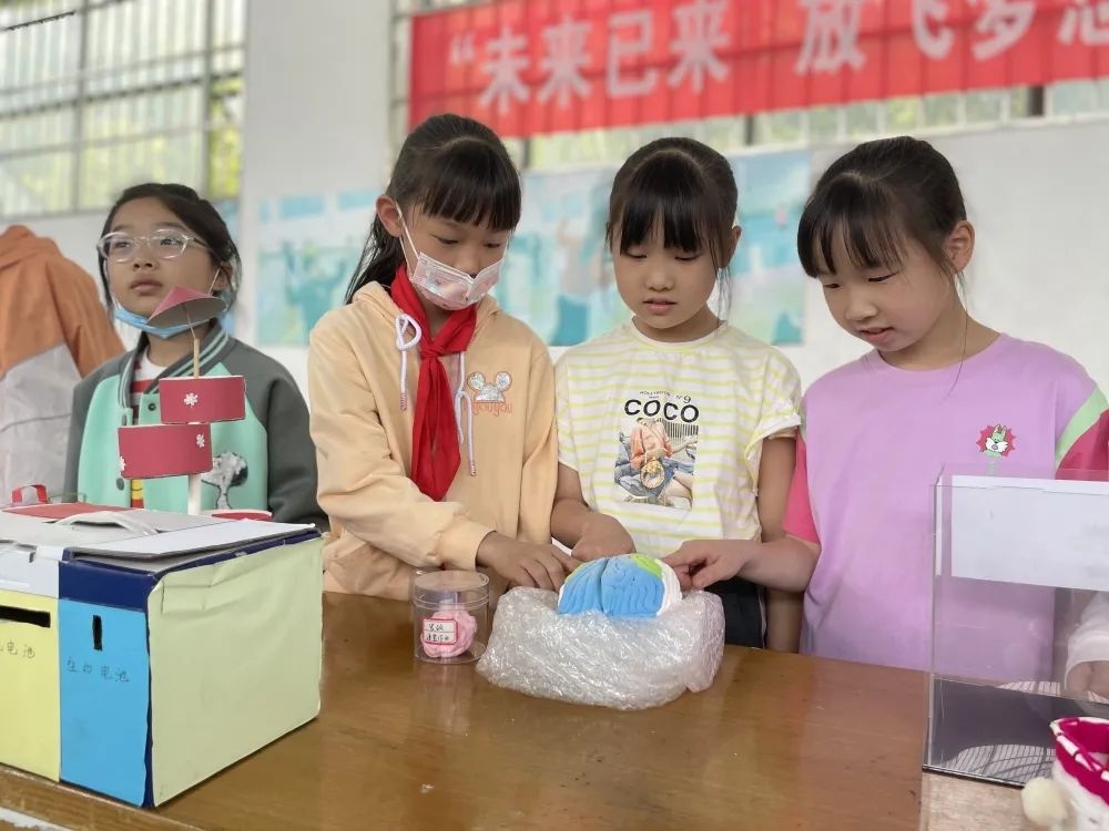 杜鹃园对口小学图片