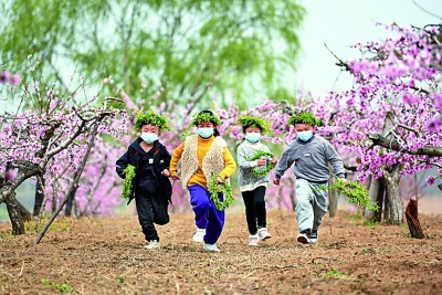 沂蒙革命老區(qū)：誰(shuí)不說(shuō)俺家鄉(xiāng)好