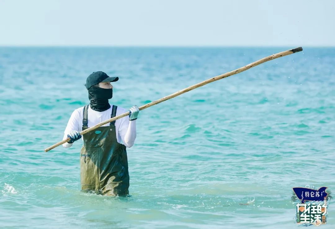 大几千的贵妇产品，为什么也没守住沈腾“95分的底子”？