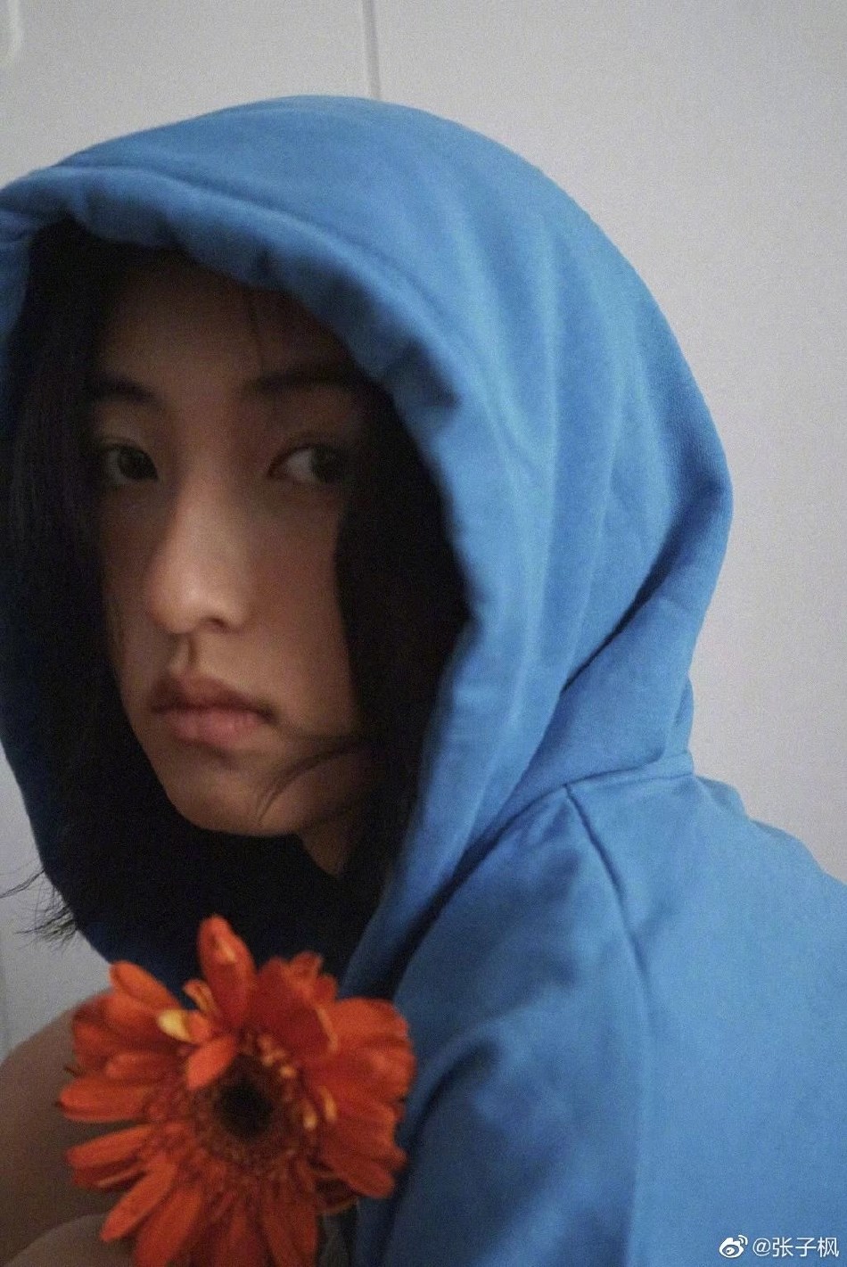 张子枫蓝色卫衣持花对镜摆pose 眼神清澈文艺范小少女