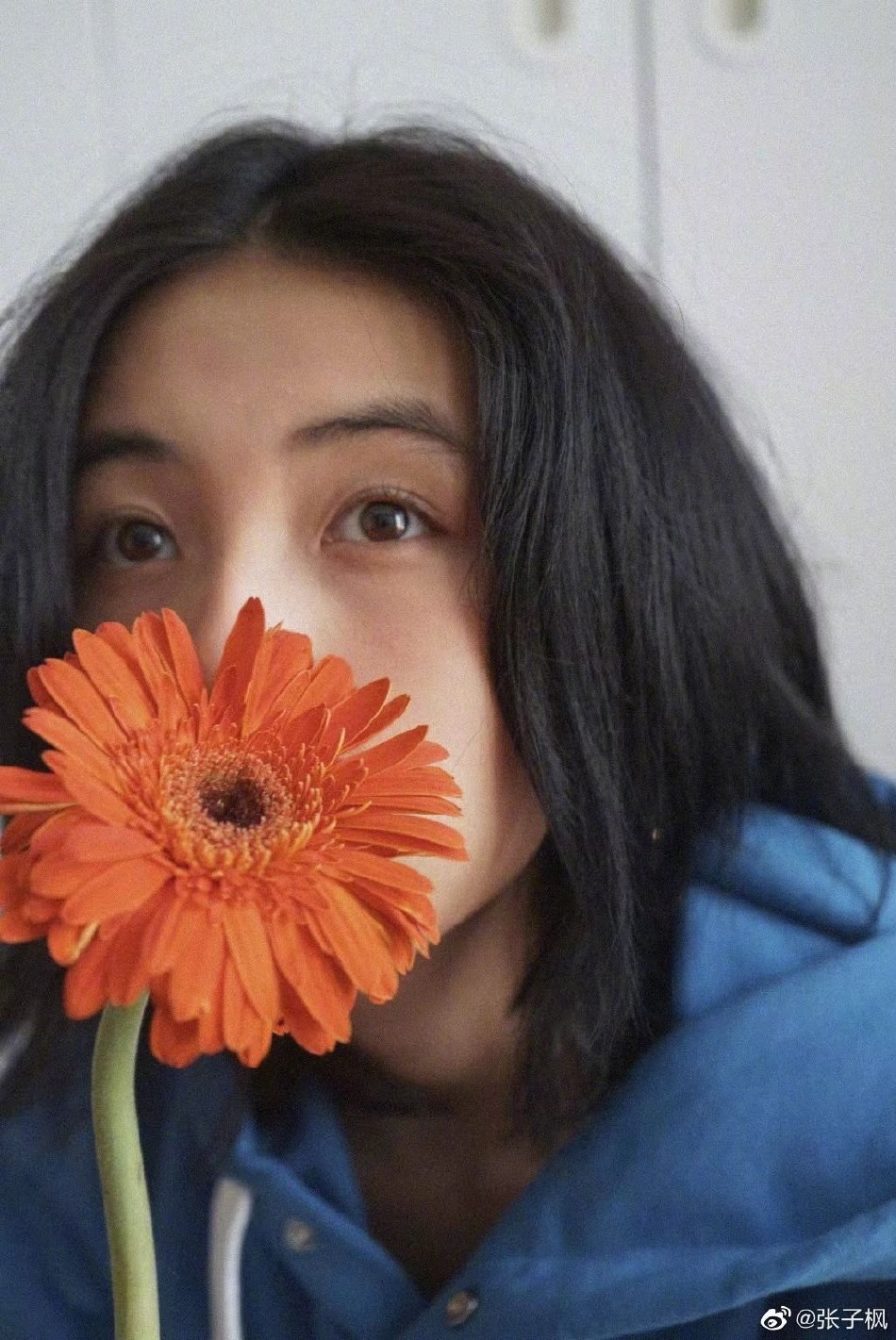 张子枫蓝色卫衣持花对镜摆pose 眼神清澈文艺范小少女