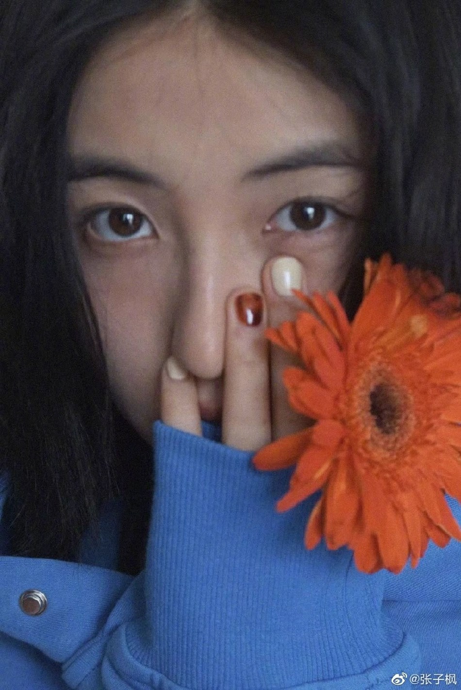 张子枫蓝色卫衣持花对镜摆pose 眼神清澈文艺范小少女