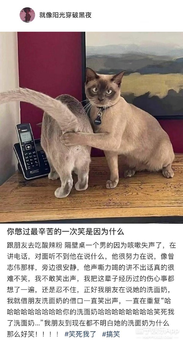 橘子晚报/杜海涛变了；《皓衣行》有望播出；