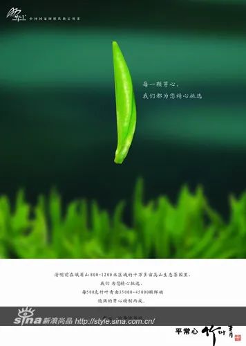 品牌与品类的能级跃迁