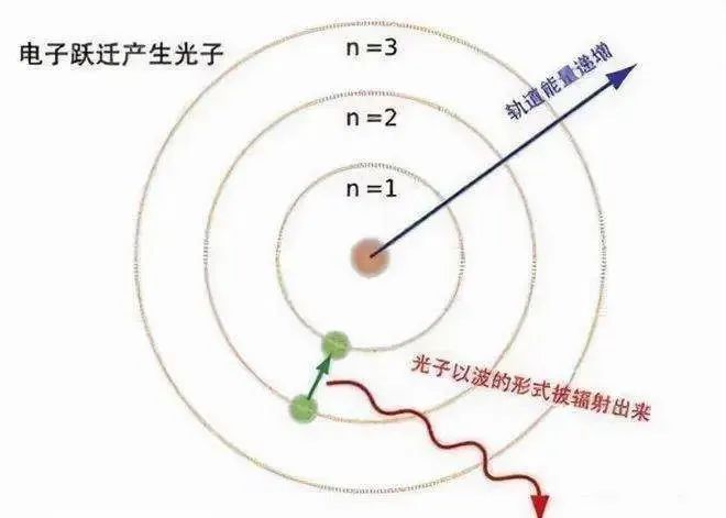 品牌与品类的能级跃迁