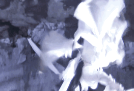 看了刘亦菲的豪宅，才明白她为什么活成了别人最羡慕的样子