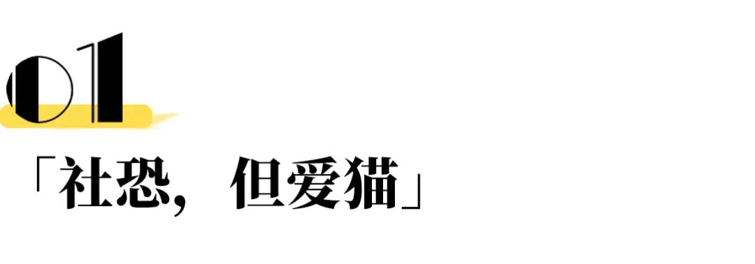 看了刘亦菲的豪宅，才明白她为什么活成了别人最羡慕的样子